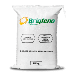 Briqfeno