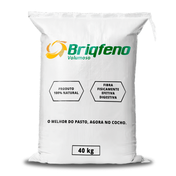 Briqfeno