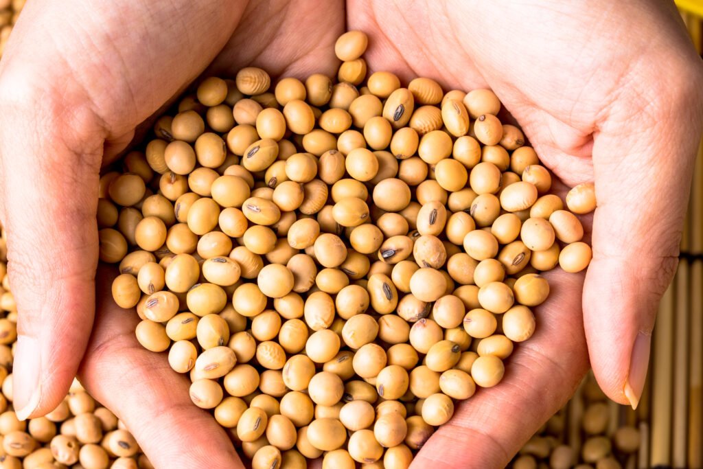 soy