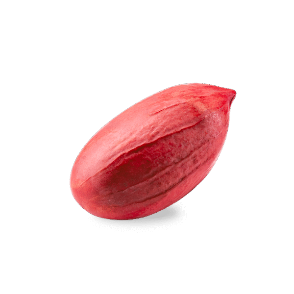 Maní en Grano – Tipo 1