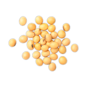 Soya en Grano "Comercial"