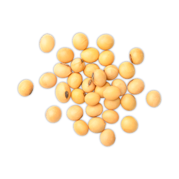 Soya en Grano "Comercial"