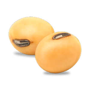Soya en Grano "Consumo Humano"