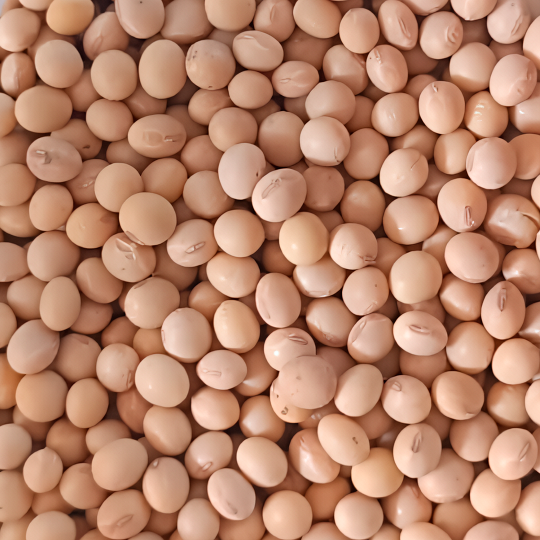 Soya en Grano "Consumo Humano"